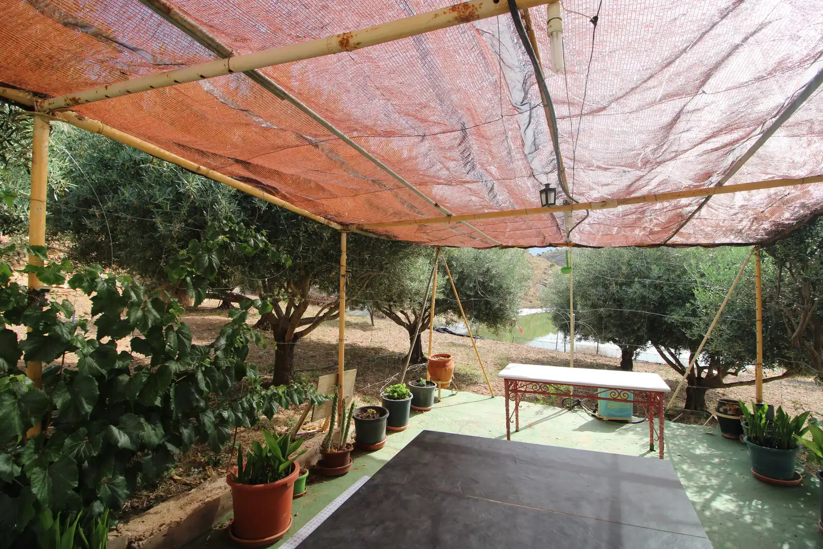 Terrassa de Finca rústica en venda en Dalías