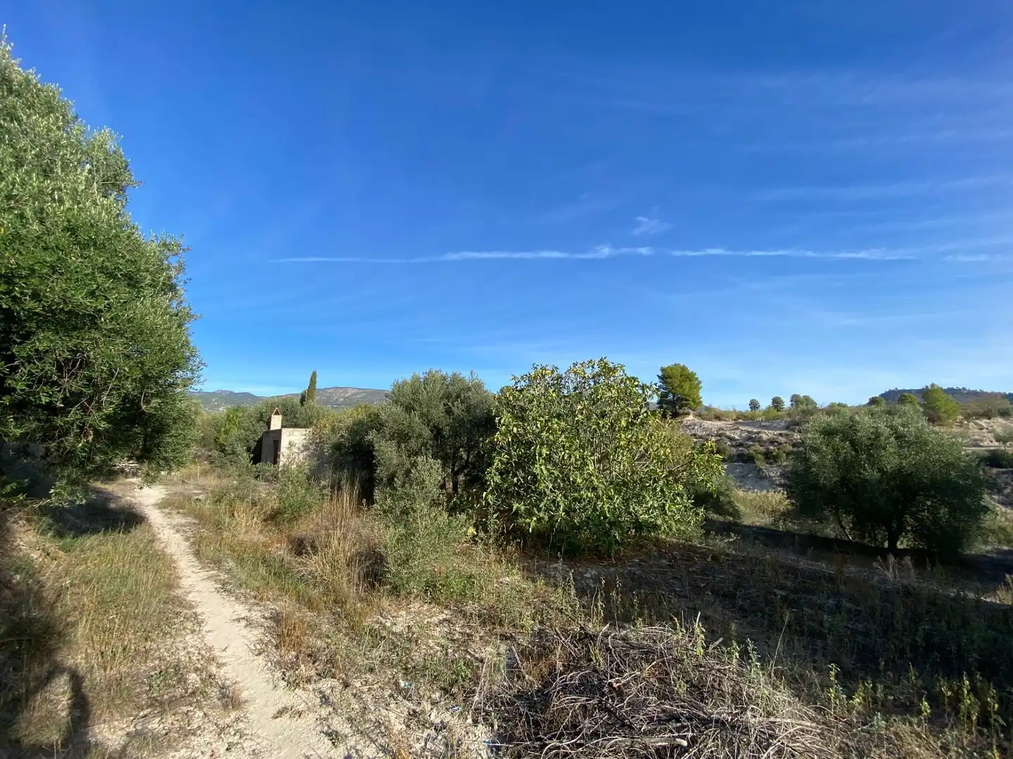 Terreny rústic en venda a Moratalla, imagen 43