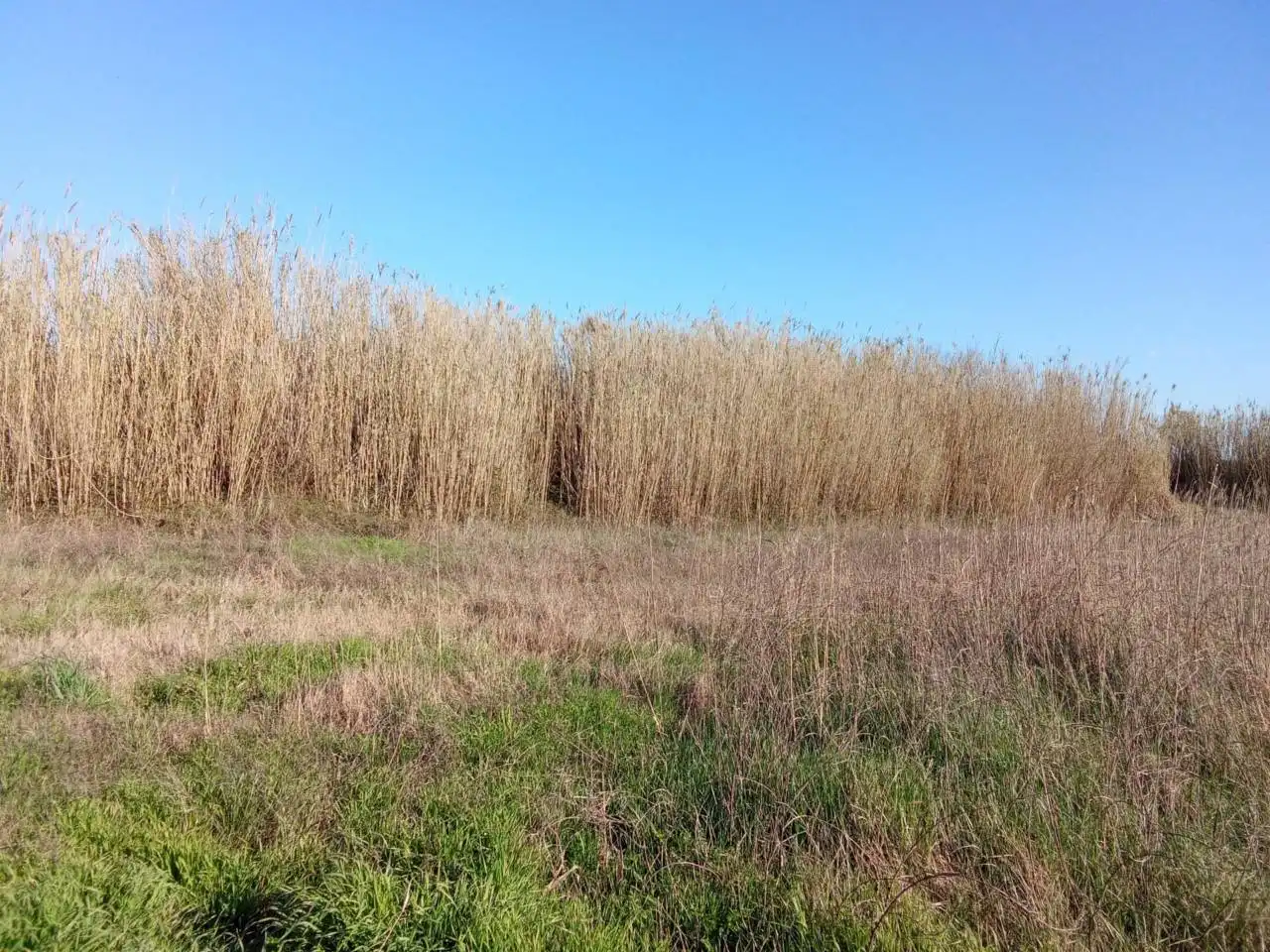 Terreni e lotti in vendita a Pueyo de Santa Cruz, imagen 2