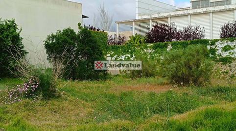 Foto 4 de Residencial en venta en Carrer Galileo Galilei, 7, Establiments, Palma de Mallorca