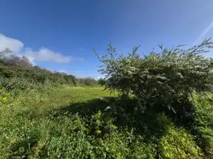 Finca rústica en venta en El Rosario con Jardín privado, Terraza y Trastero