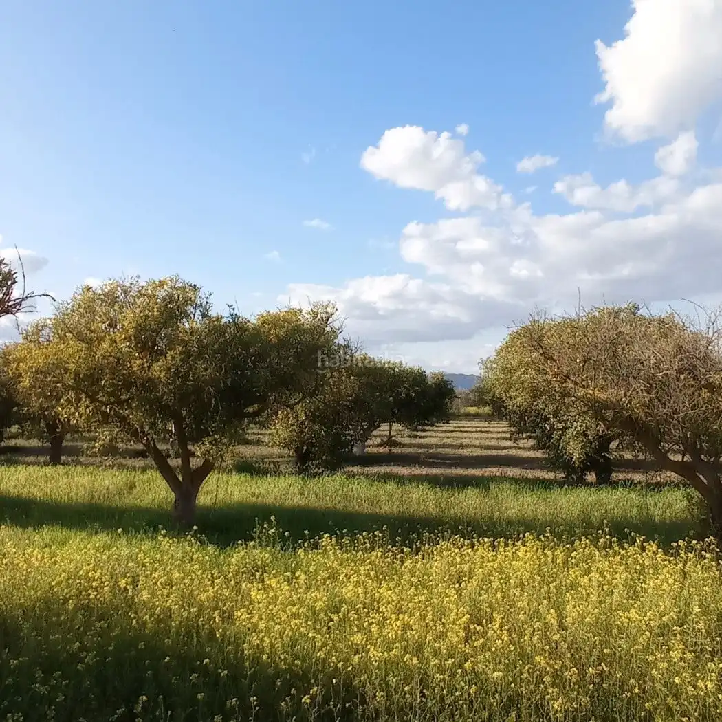 Terreni e lotti in vendita a Camino de las agonias alta 14, imagen 5