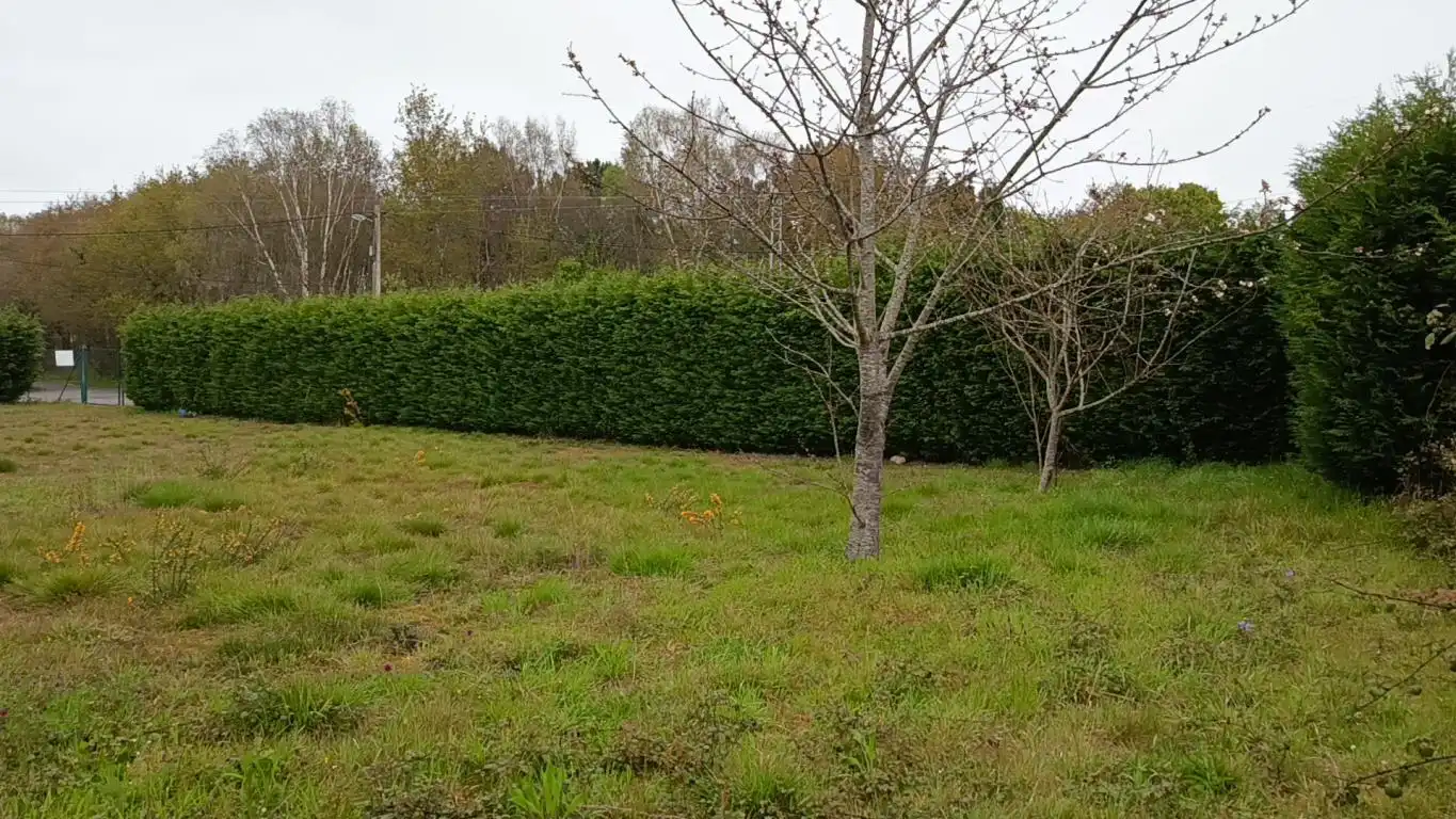 Lands and plots for sale in Pillarno, imagen 13