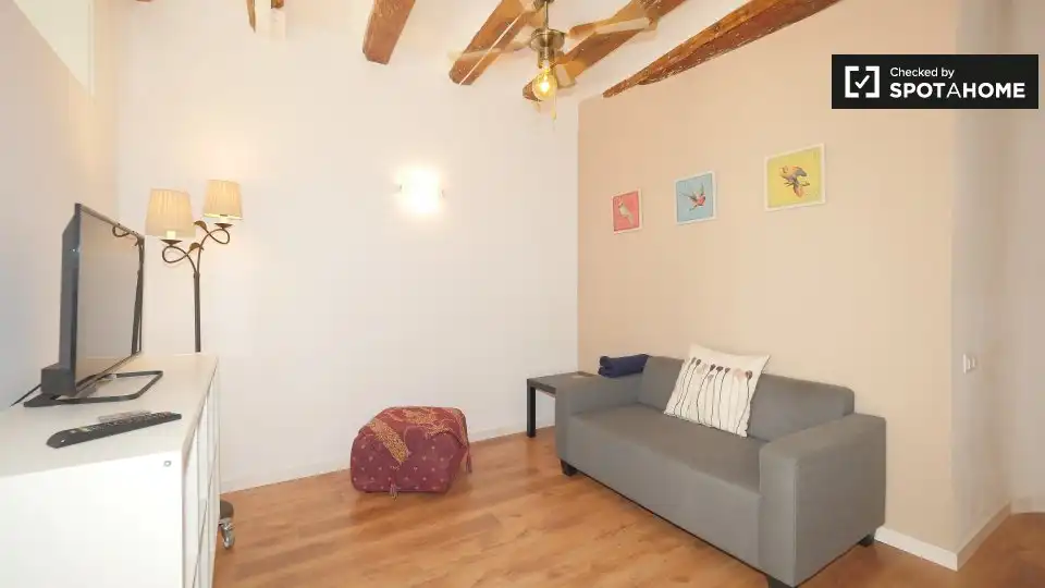Piso con terraza en alquiler en Ciutat Vella, imagen 9