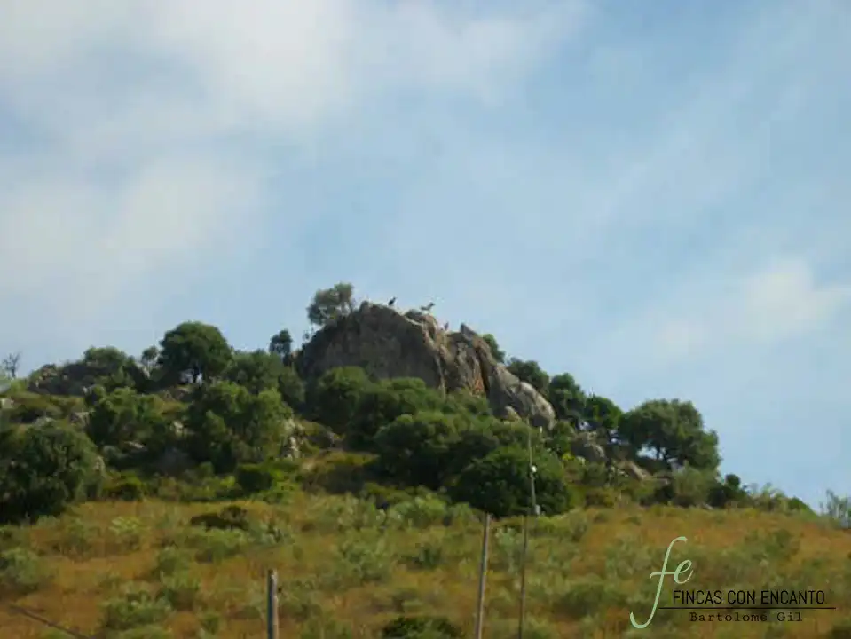 Außenansicht von Country house zum Verkauf in Marchena mit Privatgarten, Terrasse und Schwimmbad
