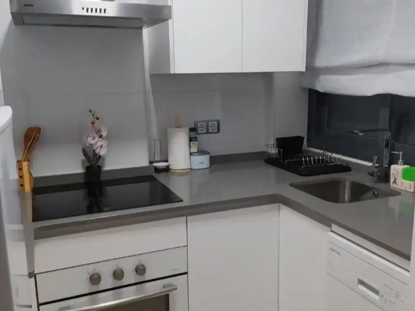 Kitchen of Flat for sale in La Envía