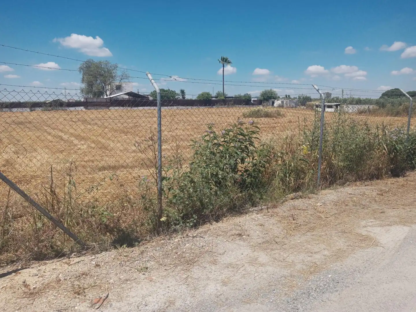 Terreni e lotti in vendita a Utrera ciudad, imagen 11