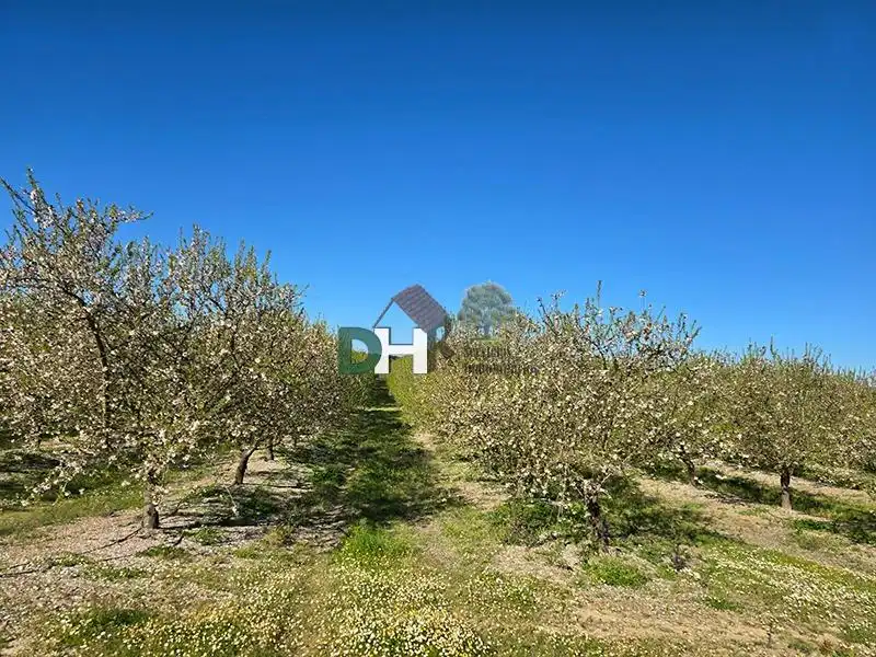 Terreni e lotti in vendita a Aguas Vivas - La Zambomba
