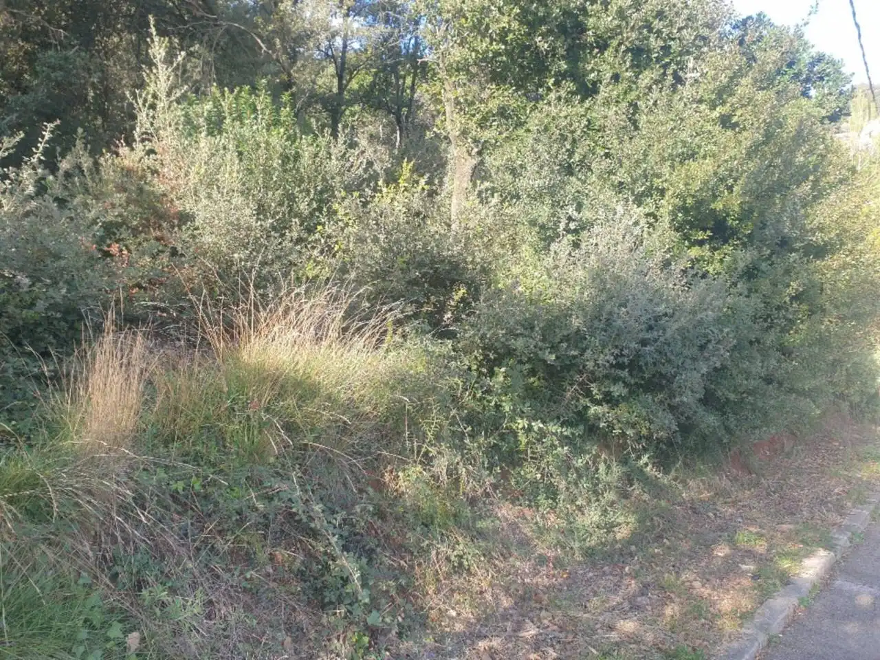 Terrain résidentiel à vendre à Matadepera, imagen 10