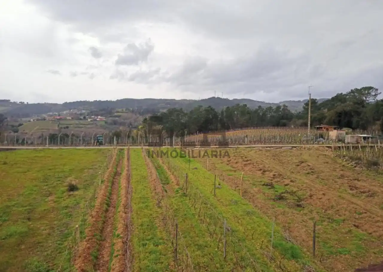 Casa o chalet en venta en PRADO DE MIÑO, Castrelo de Miño