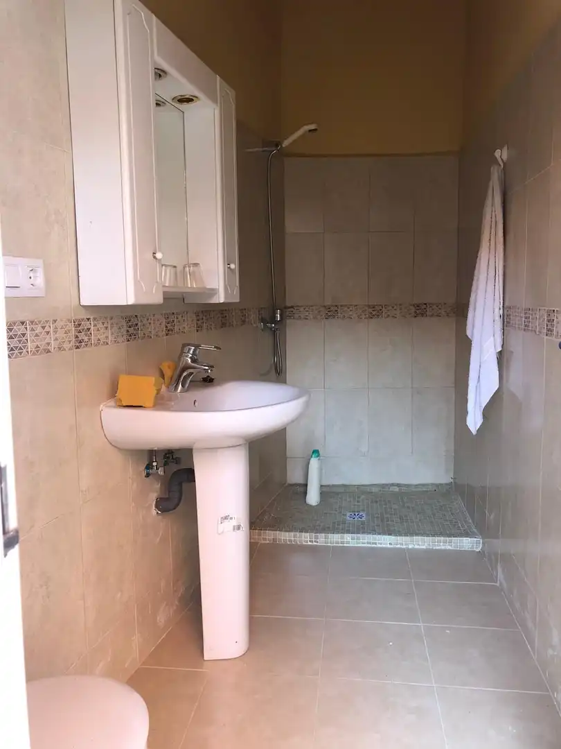 Baño de Casa o chalet en venta en Benavente