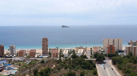PISO  BENIDORM PLAYA PONIENTE