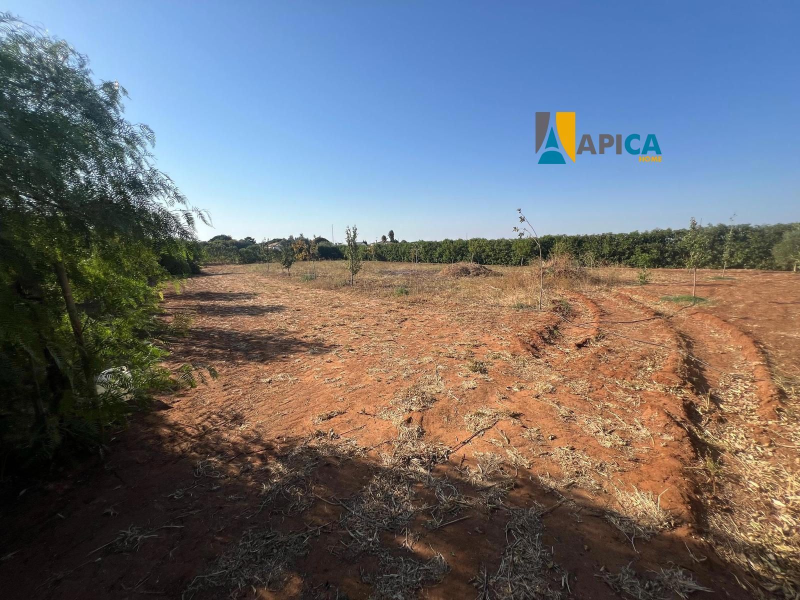 Land for sale in Conil de la Frontera