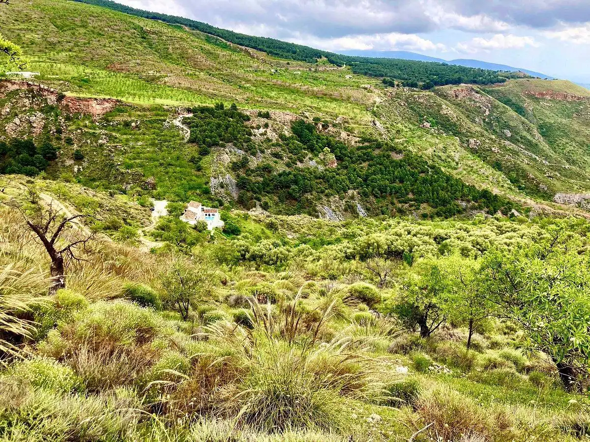 Vista exterior de Finca rústica en venda en Lecrín amb Aire condicionat i Calefacció