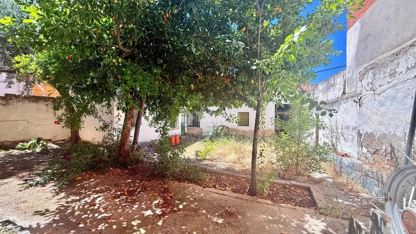 Garten von Einfamilien-Reihenhaus zum Verkauf in Portillo de Toledo