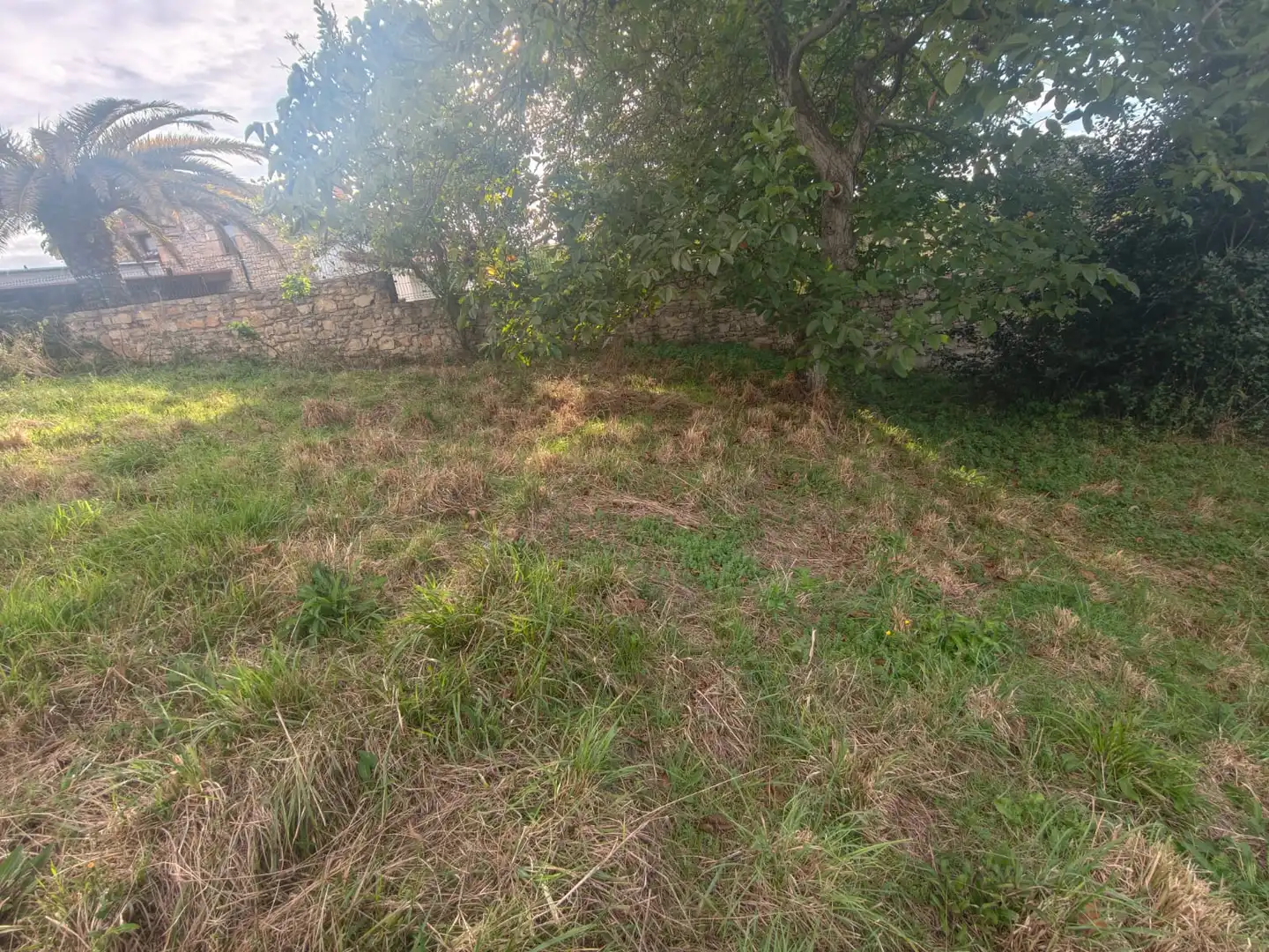 Terreno residencial en venta en Camino de La Pedrera 17, imagen 8