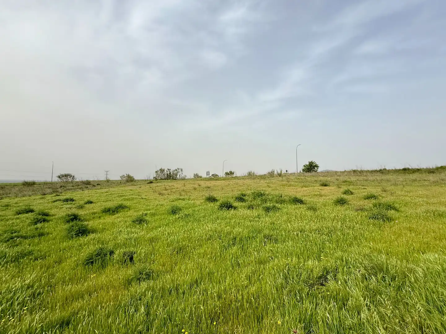 Lands and plots for sale in Almorox, imagen 6