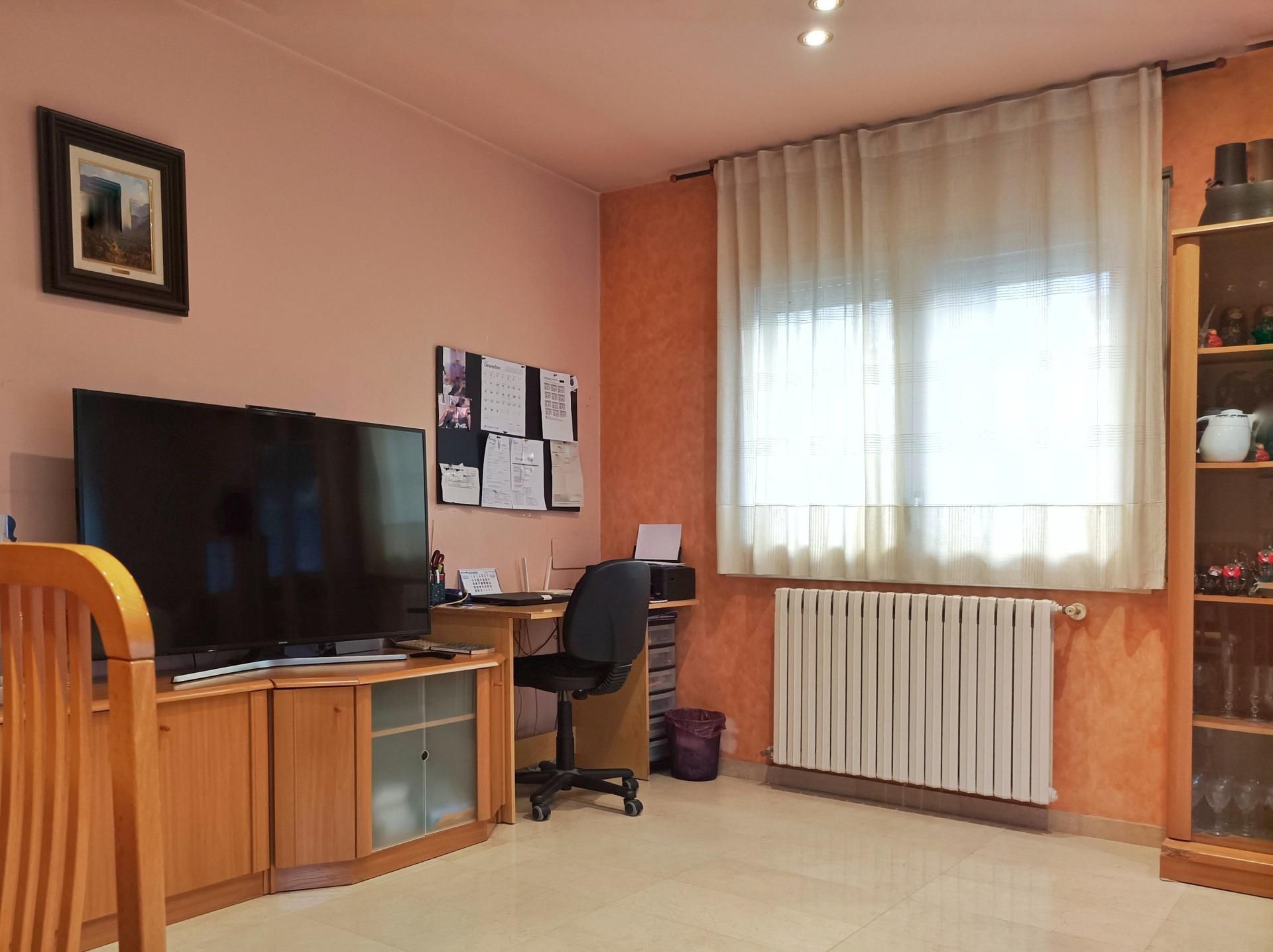 Sala d'estar de Pis en venda en Castellfollit de la Roca amb Aire condicionat, Calefacció i Balcó