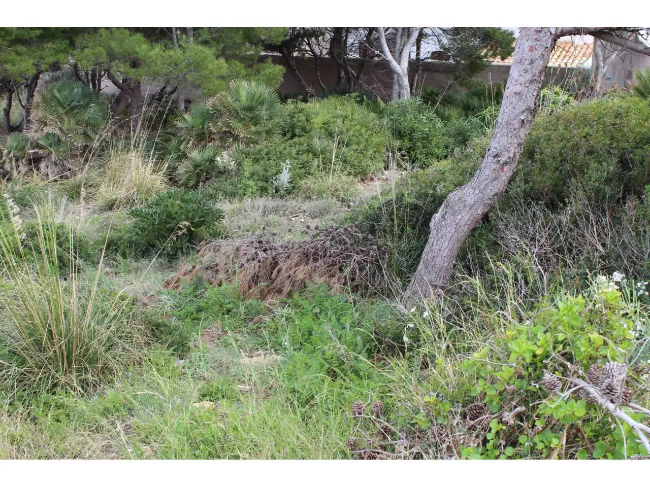 Wohnbaugrundstück zum Verkauf in Camino garbellons 10, imagen 6