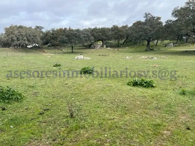 Terreno rústico en venta en El Pedroso, imagen 14