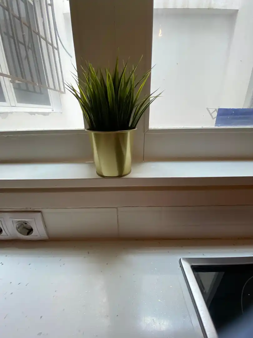 Balcony of Study for rent in Las Palmas de Gran Canaria  with Furnished