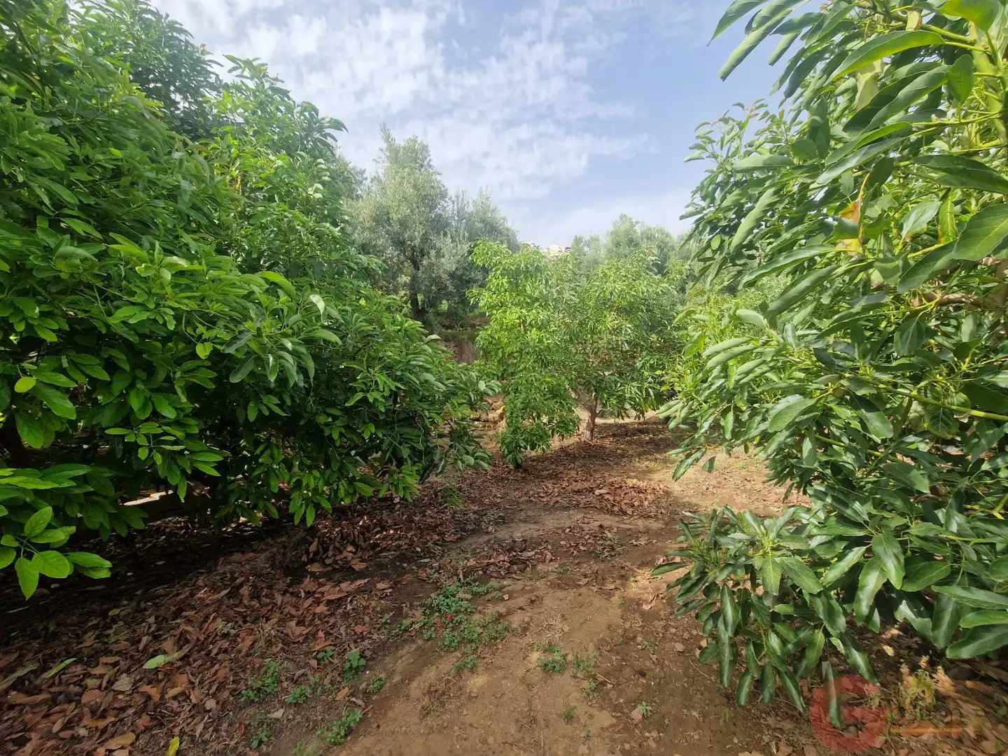 Casa rustica in vendita a Lanjarón, imagen 31