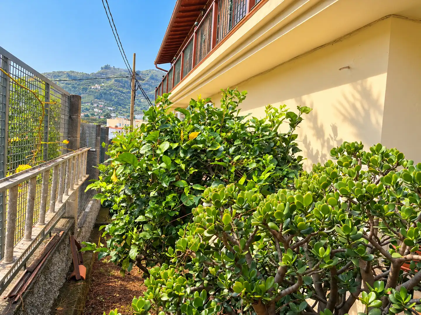 Detached house with garden for sale in Calle Hoya El 65, imagen 75