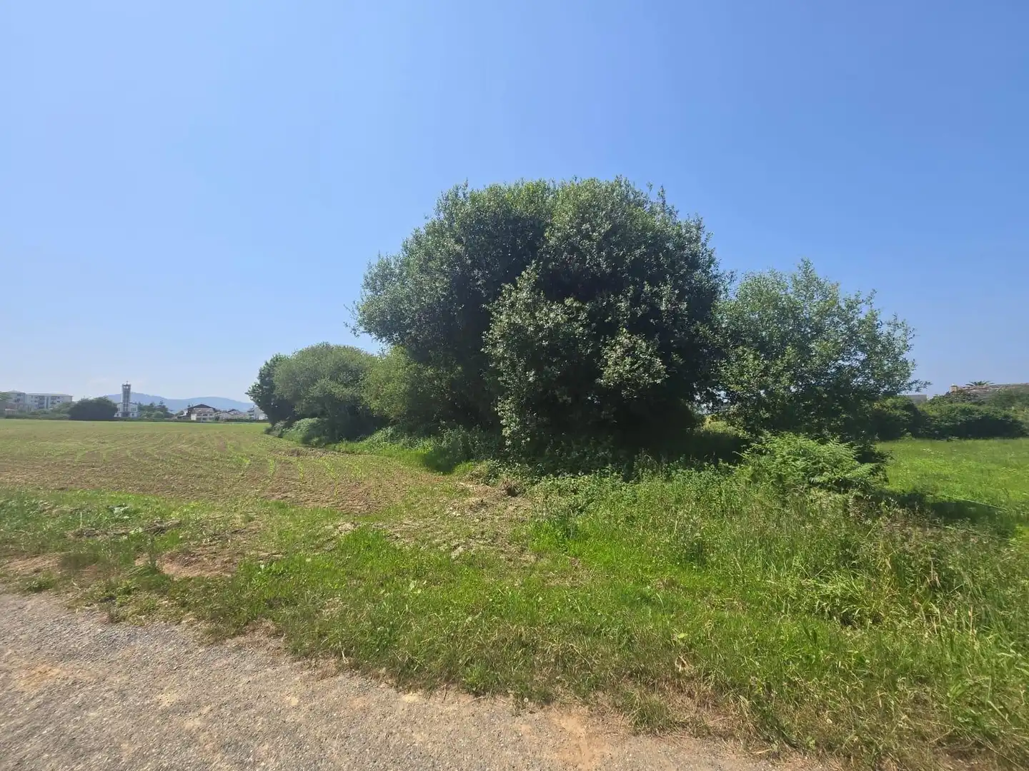 Rural land for sale in Calle PARROQUIA DE SAN COSME - VEIGUIÑA Nº 56, imagen 12