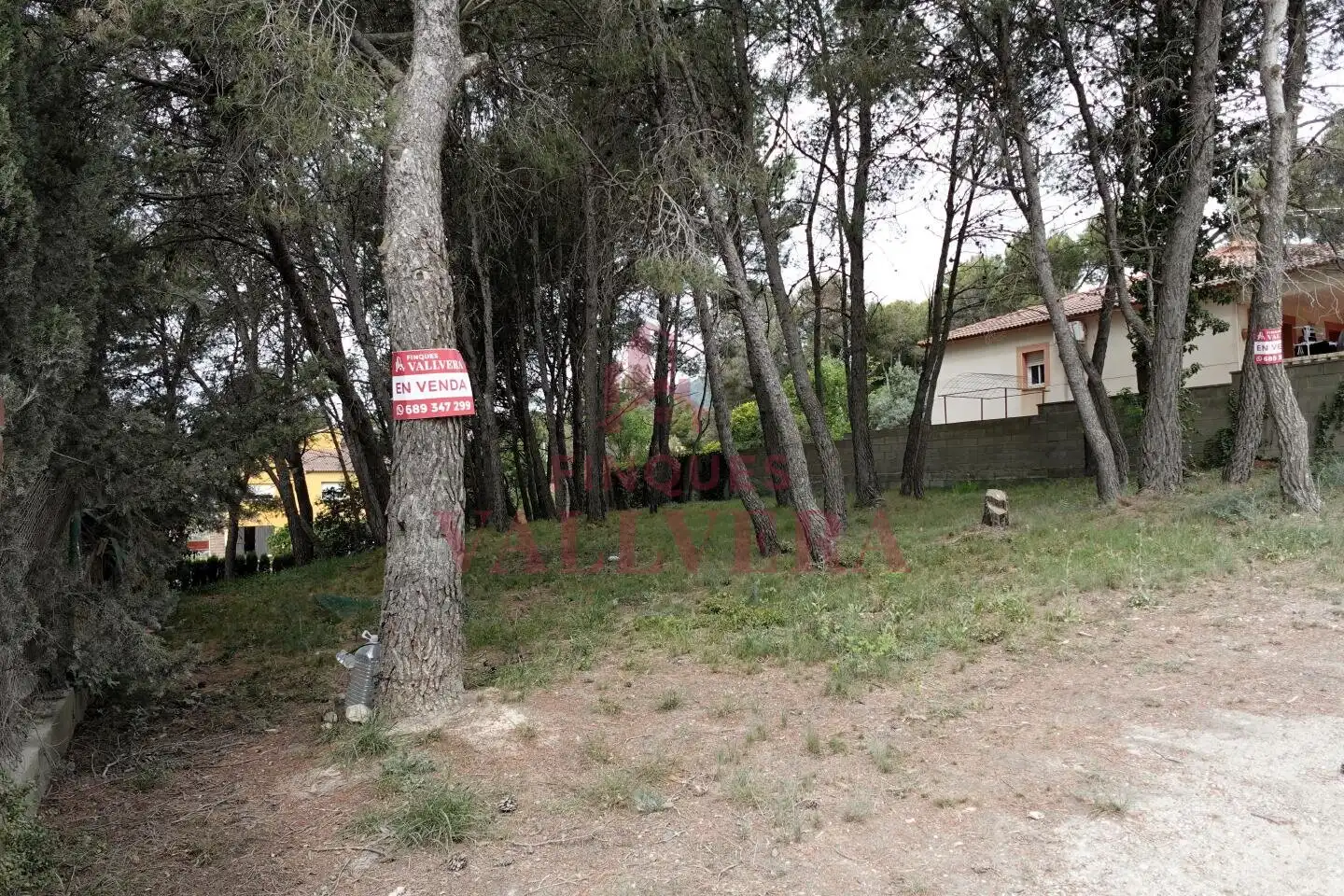 Terreny residencial en venda a Cabra del Camp, imagen 4