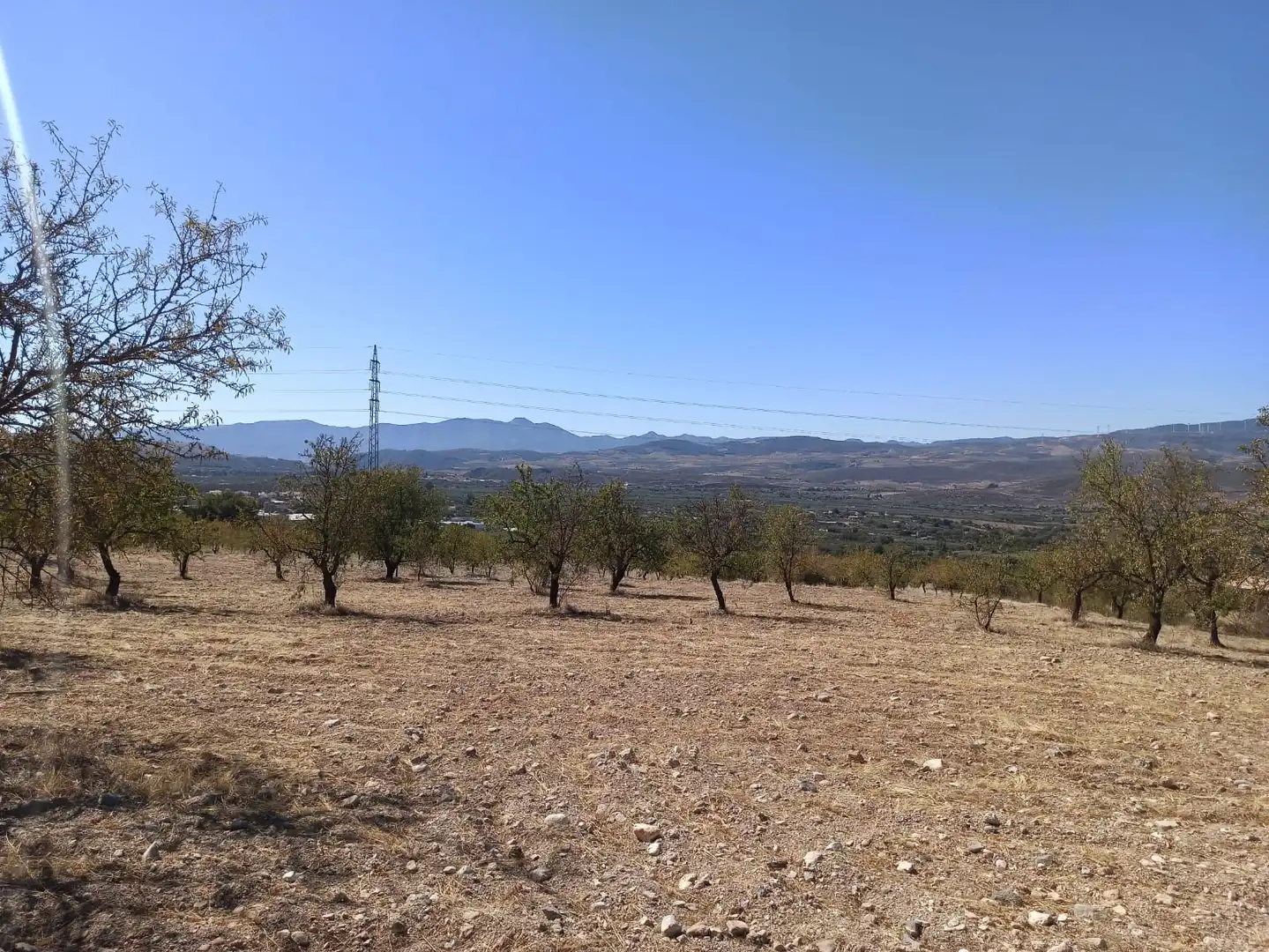 Terreni e lotti in vendita a Padul, imagen 22