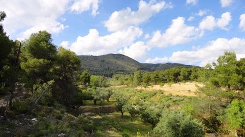 16.000M2 EN IBI, POSIBILIDAD DE CONSTRUIR