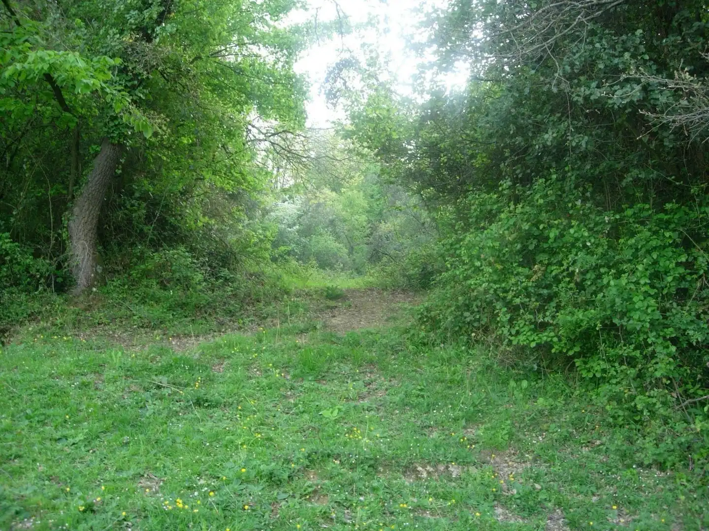 Terreni e lotti in vendita a Valle de Mena, imagen 14
