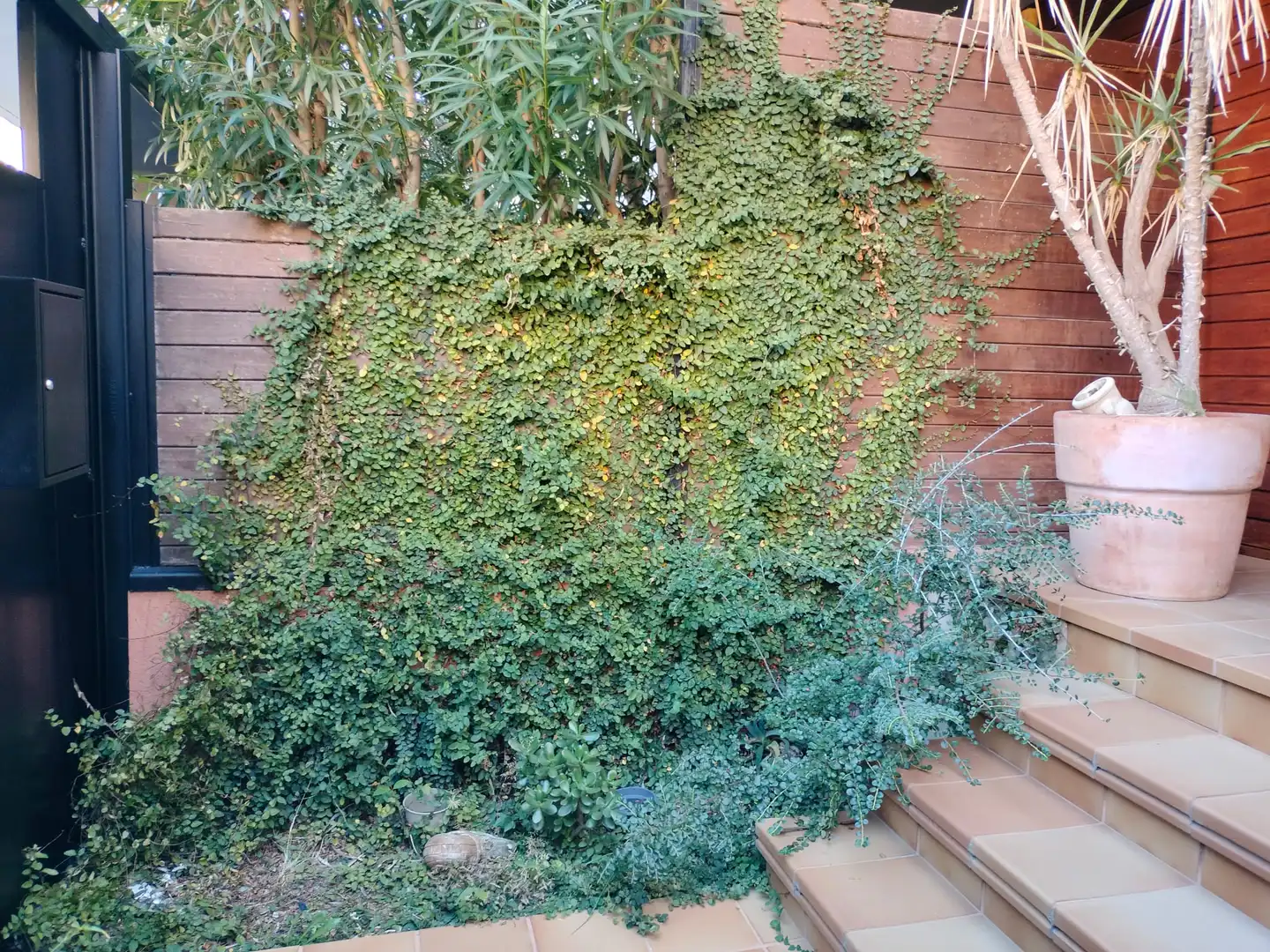 Garden of Detached homes for sale in Sabadell  with Private garden, Terrace and Storage room