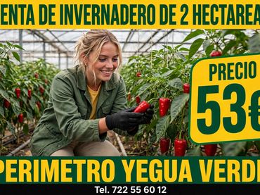 Terreno rustico in vendita a Barrio Congo