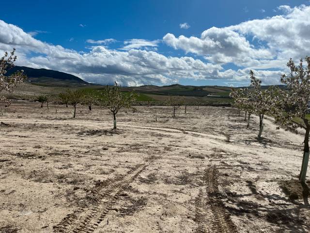Terreno en Venta en Poligono UE-10 en Ayuntamiento