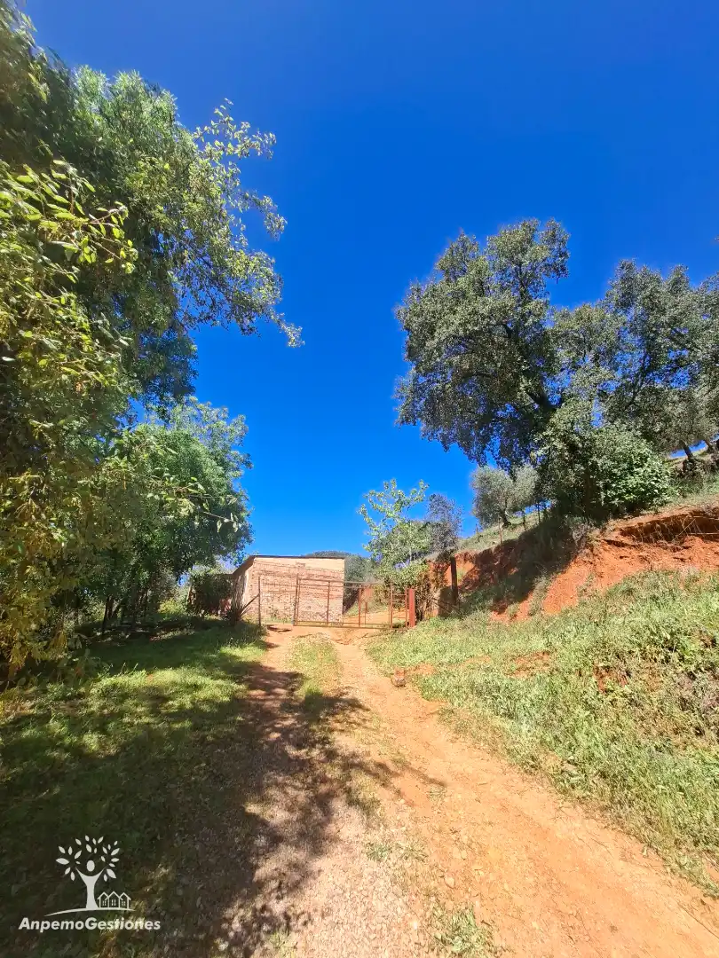 Terreni e lotti in vendita a Camino de la Ermita 18, imagen 13