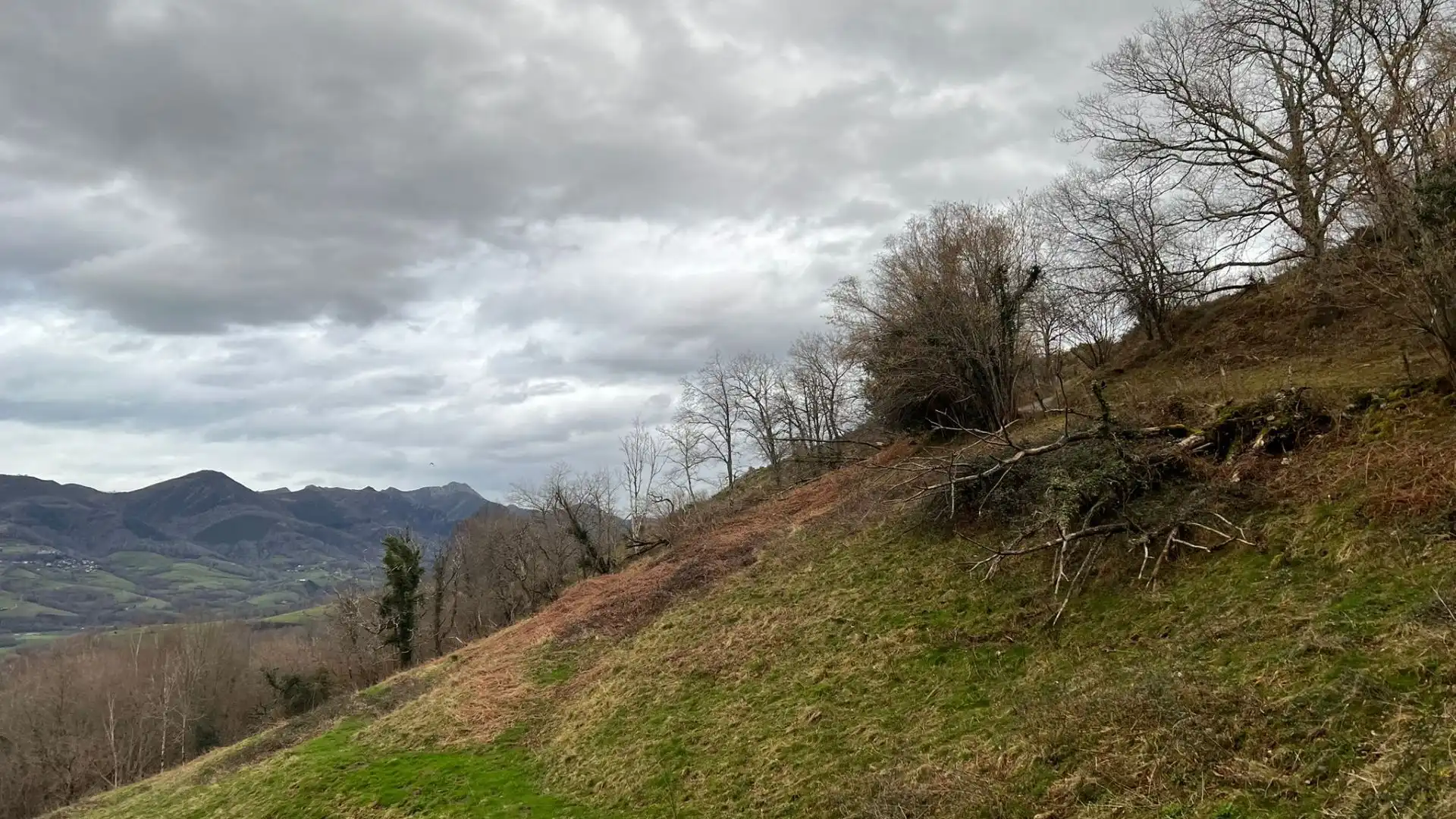 Terreno rustico in vendita a Cangas de Onís, imagen 30