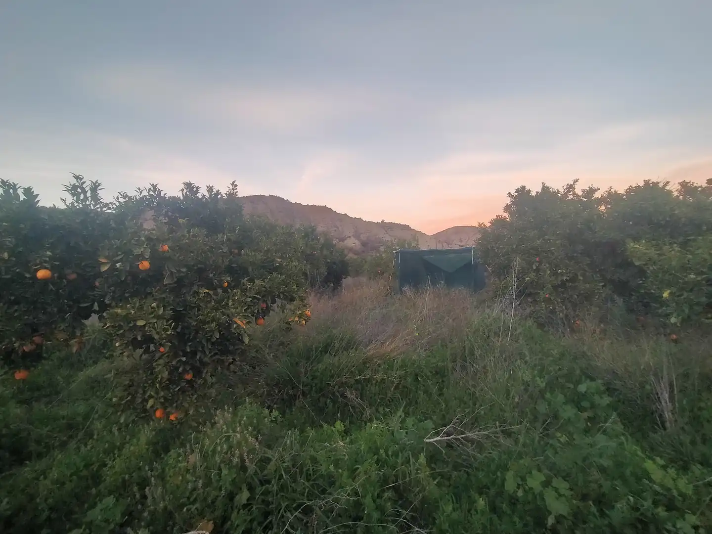 Residential land for sale in Instinción, imagen 7