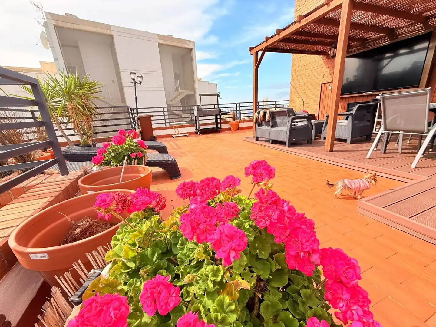 Apartament amb piscina en venda a Rincón de Loix, imagen 4