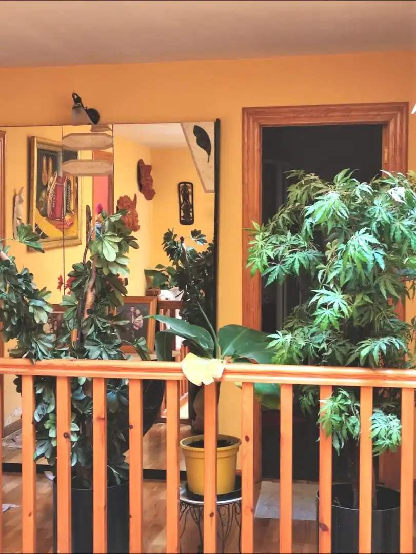 House with terrace for sale in Calle San  Martin, imagen 32