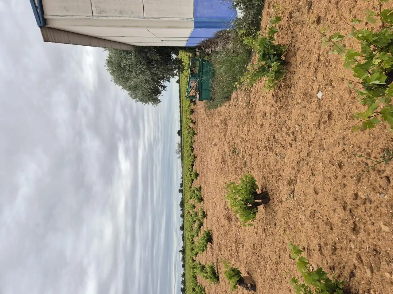 Terreny rústic en venda a Casa Masca - Puente Romano, imagen 22