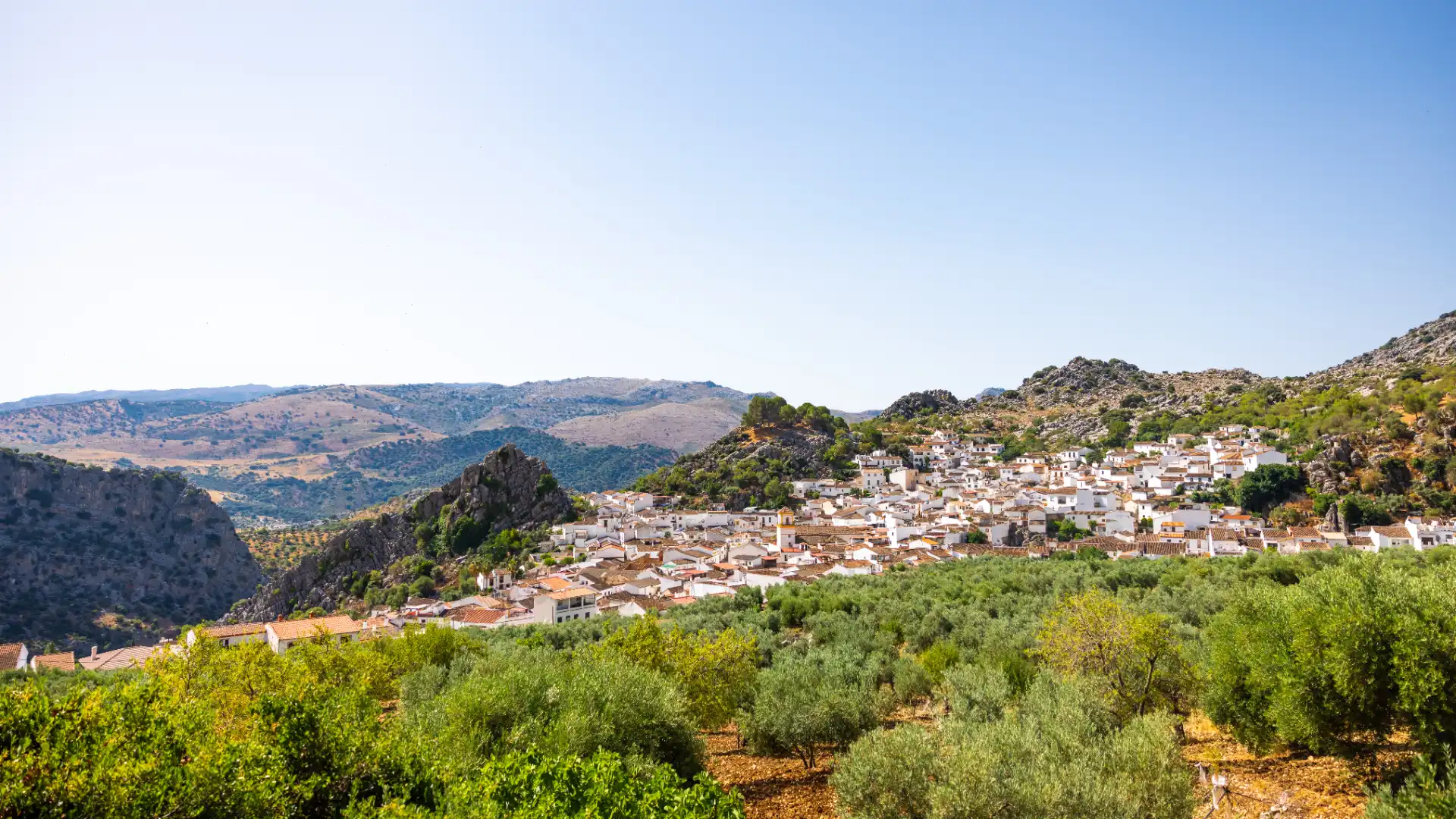 Vista exterior de Finca rústica en venta en Montejaque con Aire acondicionado, Jardín privado y Terraza