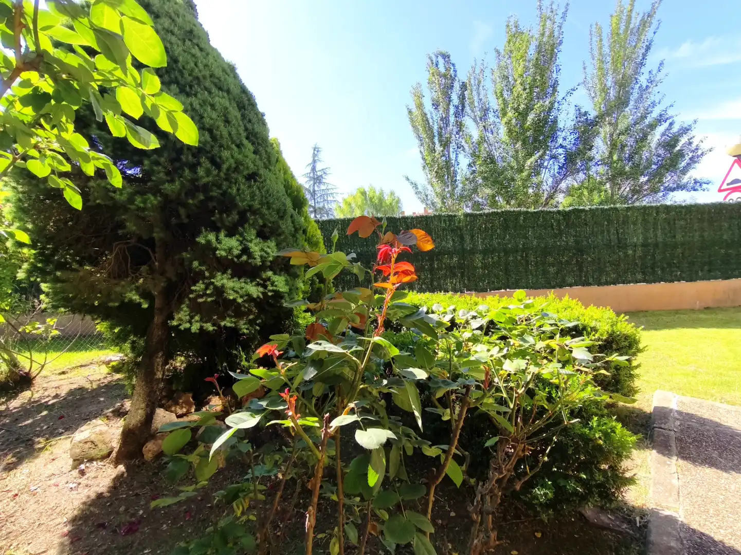 Jardí de Casa adosada en venda en  Logroño amb Calefacció, Jardí privat i Parquet