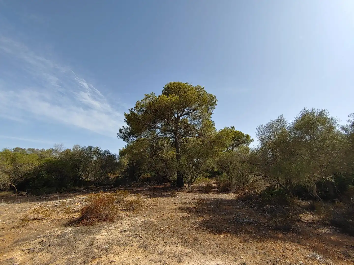 Residencial en venta en Polígono Parcela 12, Cala Pi - Vallgornera