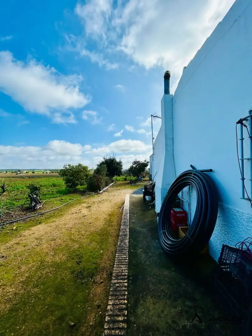 Vista exterior de Finca rústica en venda en Aljaraque amb Jardí privat, Terrassa i Traster