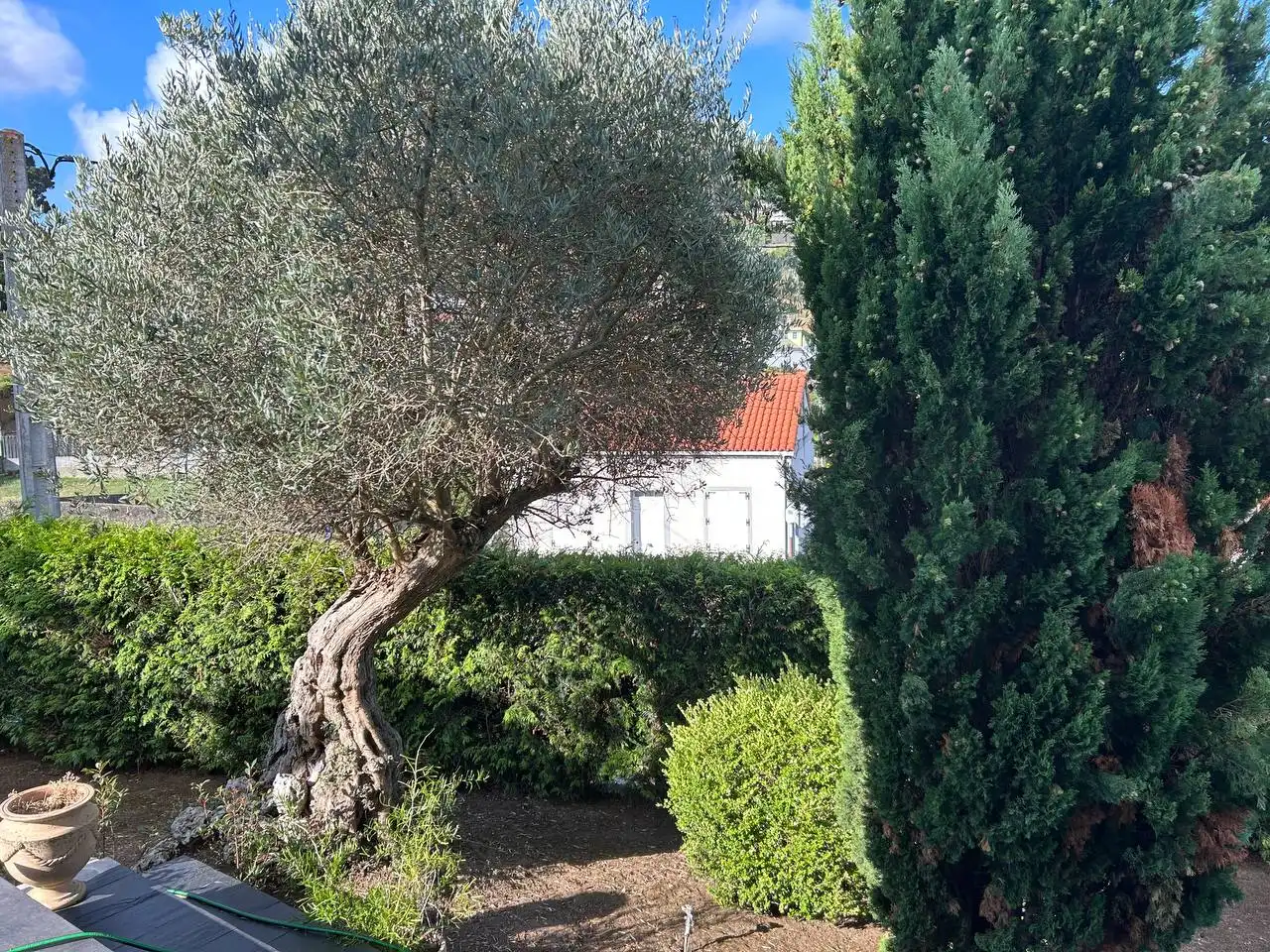 Jardín de Casa o chalet en venta en Culleredo con Calefacción, Jardín privado y Parquet