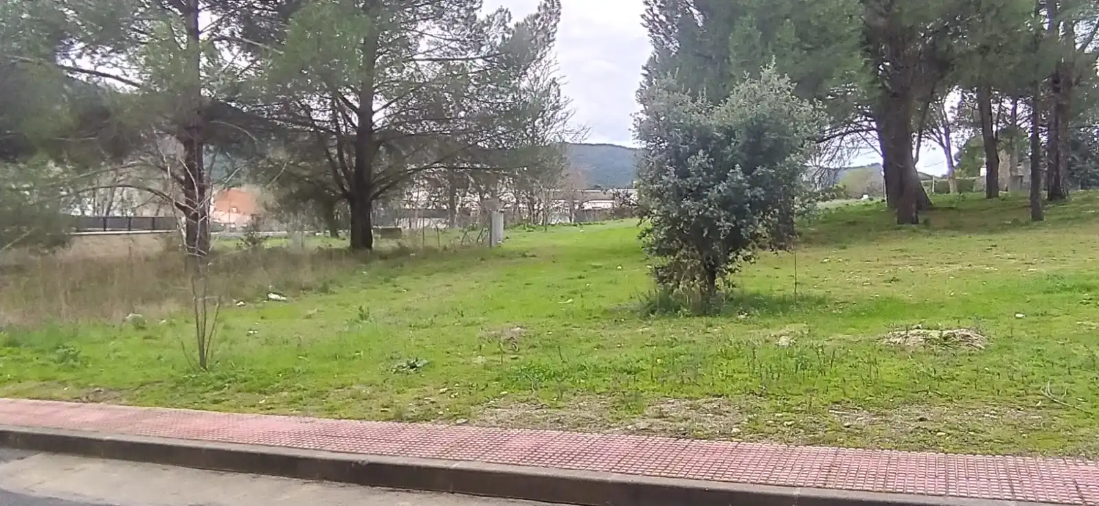 Casa amb terrassa en venda a Calle de Restituto Moreno, imagen 7