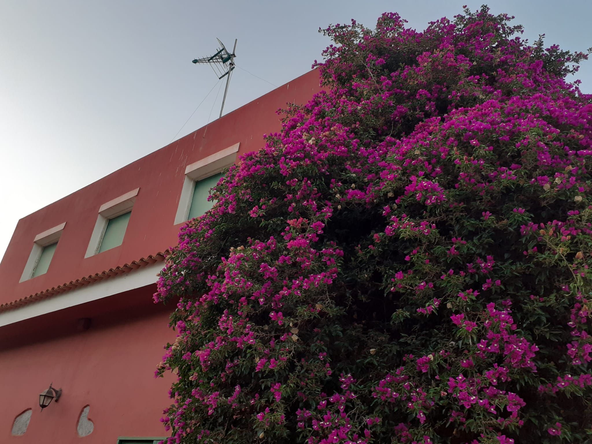 Vista exterior de Casa o xalet en venda en Valsequillo de Gran Canaria amb Aire condicionat, Jardí privat i Terrassa