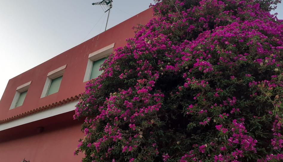 Photo 1 of House or chalet for sale in Valsequillo de Gran Canaria, Las Palmas