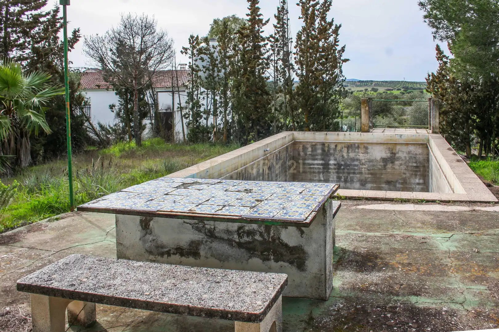Garden of Land for sale in Azuaga